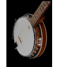 Banjo 6-strunowe Harley Benton HBJ-26